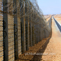 Concertina Razor Barbed Wire para venda